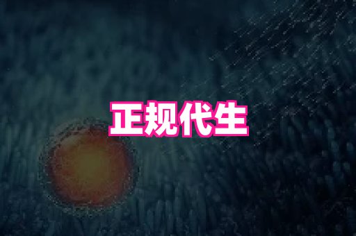 swisee孕网 1