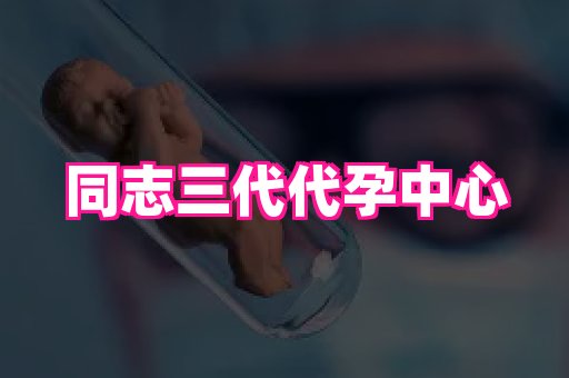 swisee孕网 3