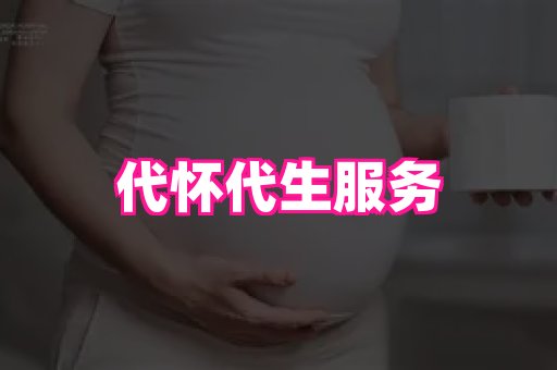 swisee孕网 4